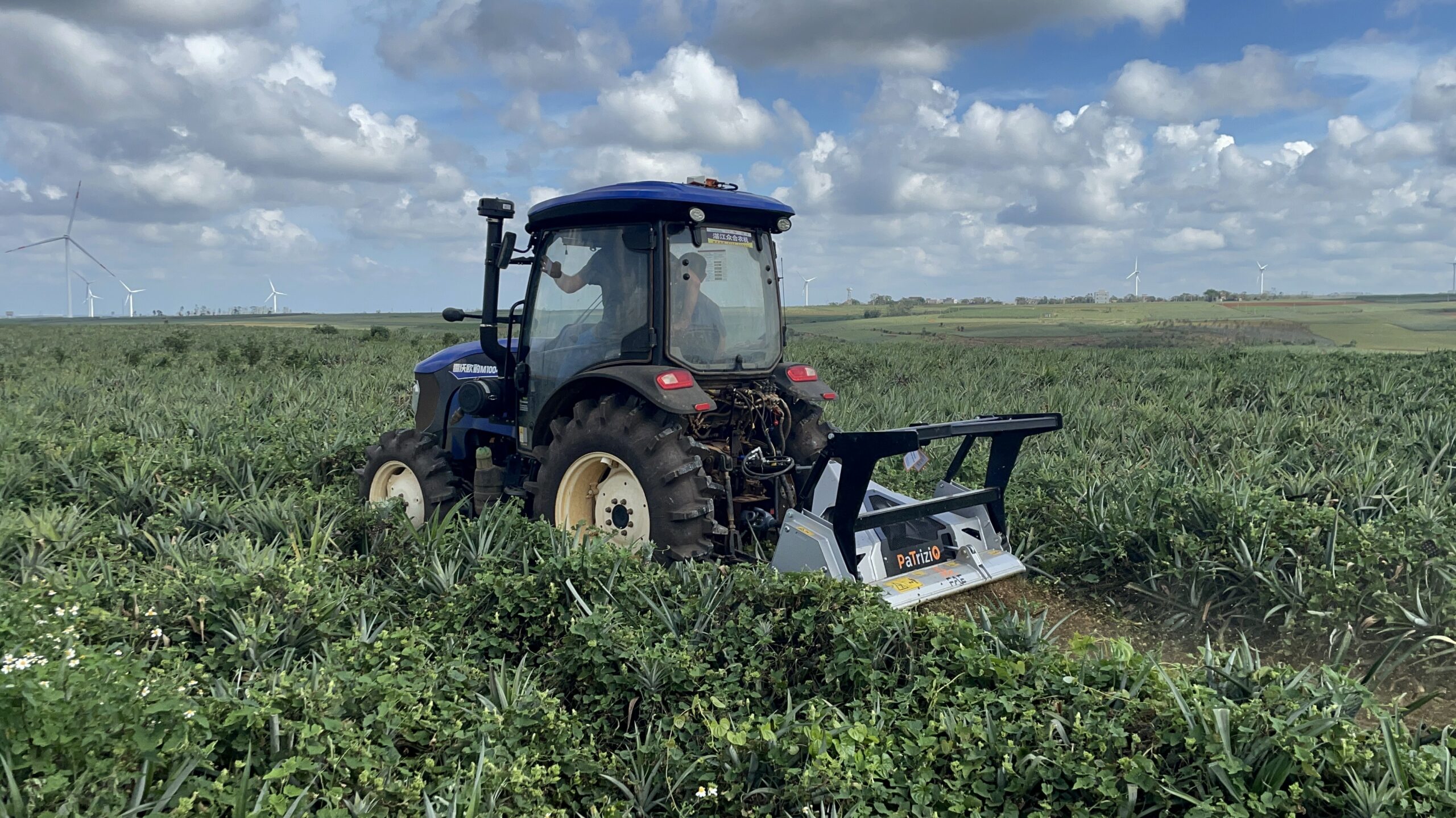 FAE Patrizio, broyeur forestier pour tracteurs de 50 à 100 ch
